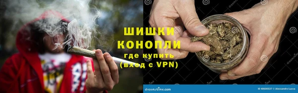 стаф Богданович
