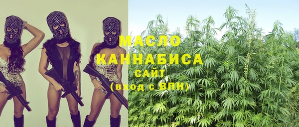 стаф Богданович