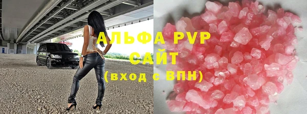 стаф Богданович
